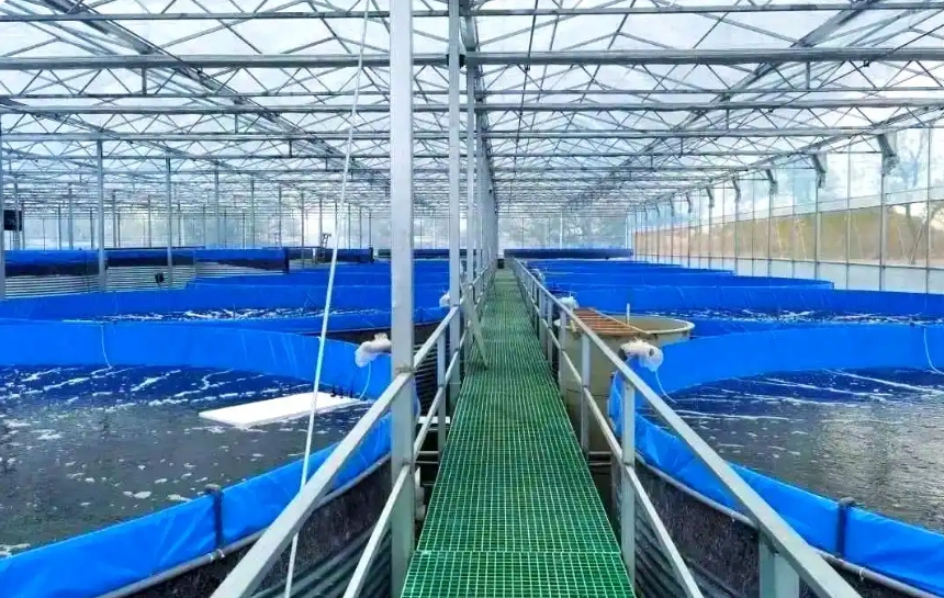 某学校教育科普系统建设